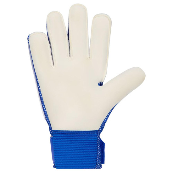Nike Παιδικά γάντια τερματοφύλακα Match Goalkeeper Gloves